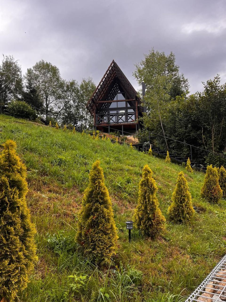 Valley Hills-Котедж На Схилах Гір З Чаном-Джакузі Slavske Exterior foto